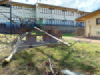 DOE: 3 Lahaina schools sustain wind damage but remain in good condition